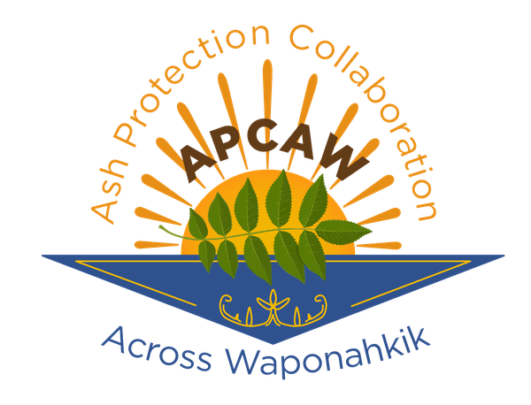 Ash Protection Collaboration Across Waponahkik Logo