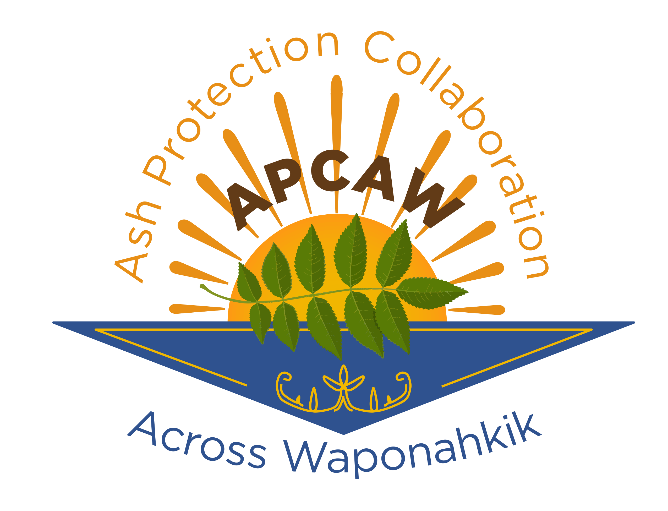 Ash Protection Collaboration Across Waponahkik